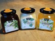 Honig-Symphonie BIO Knospe